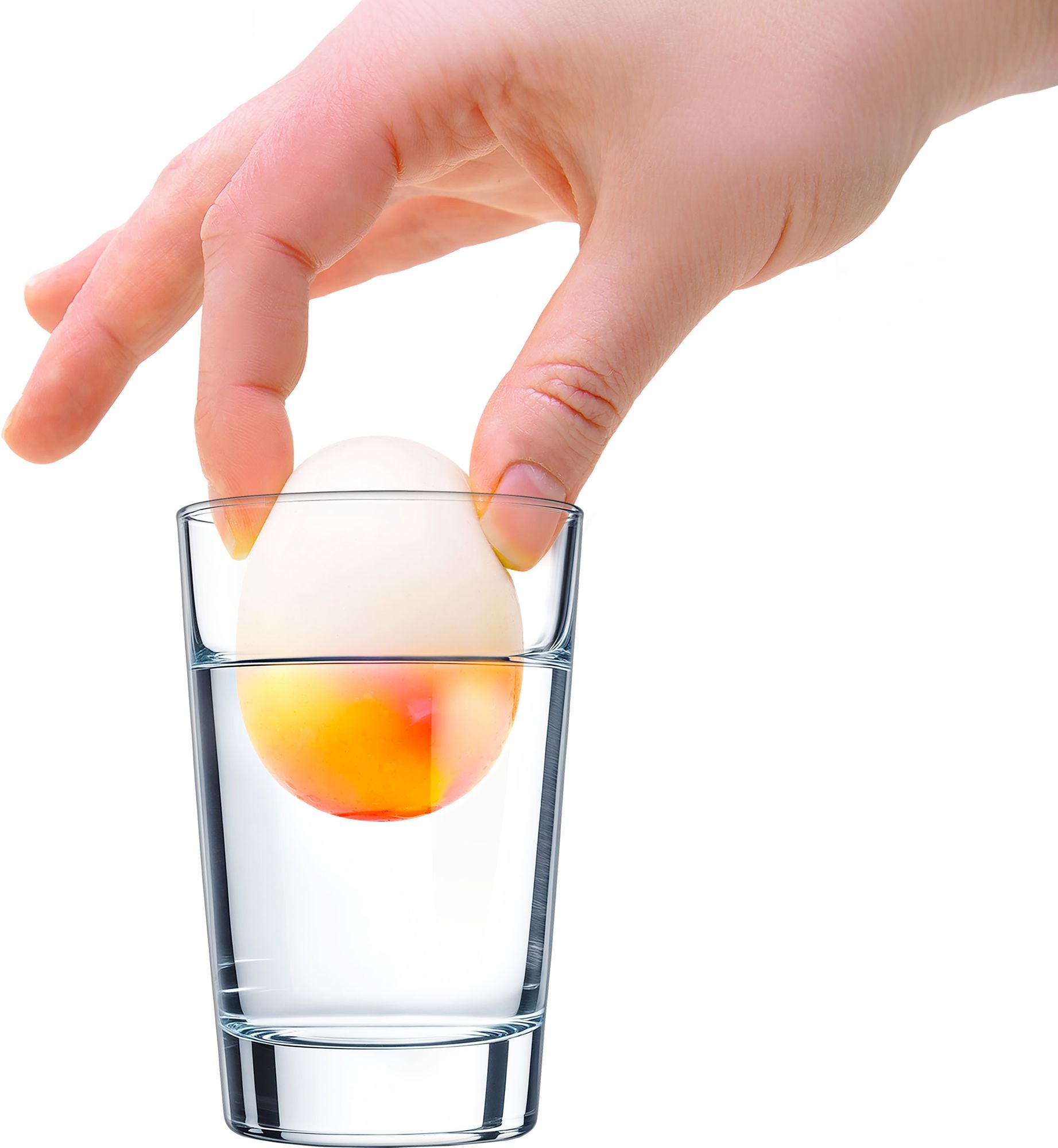 Dippin' Dazzler Eggs Needoh - Image 3
