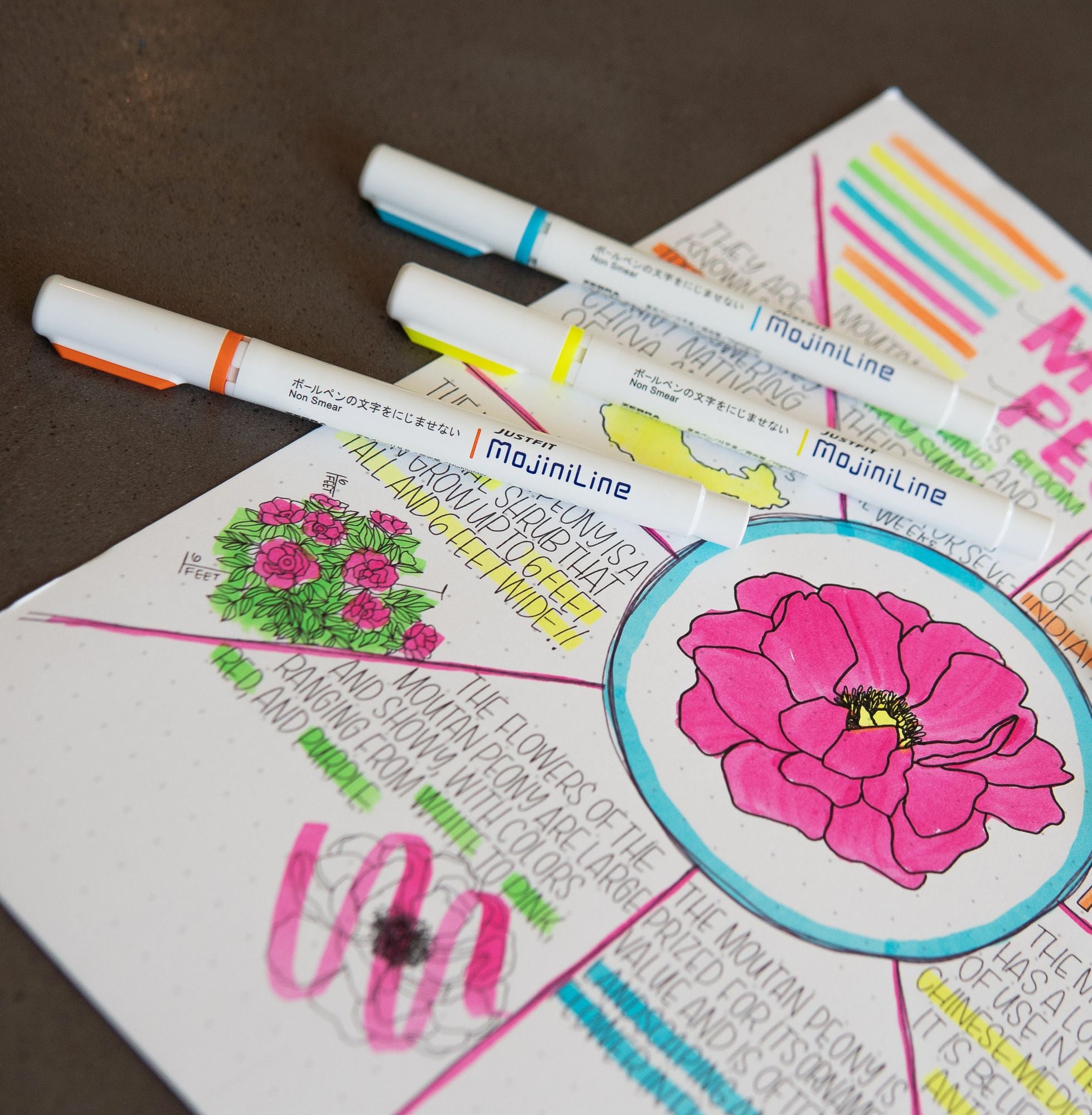Zebra Mojini Highlighters - Image 4