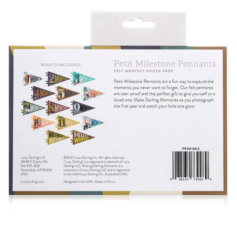 Little Camper Monthly Pennants - Image 3