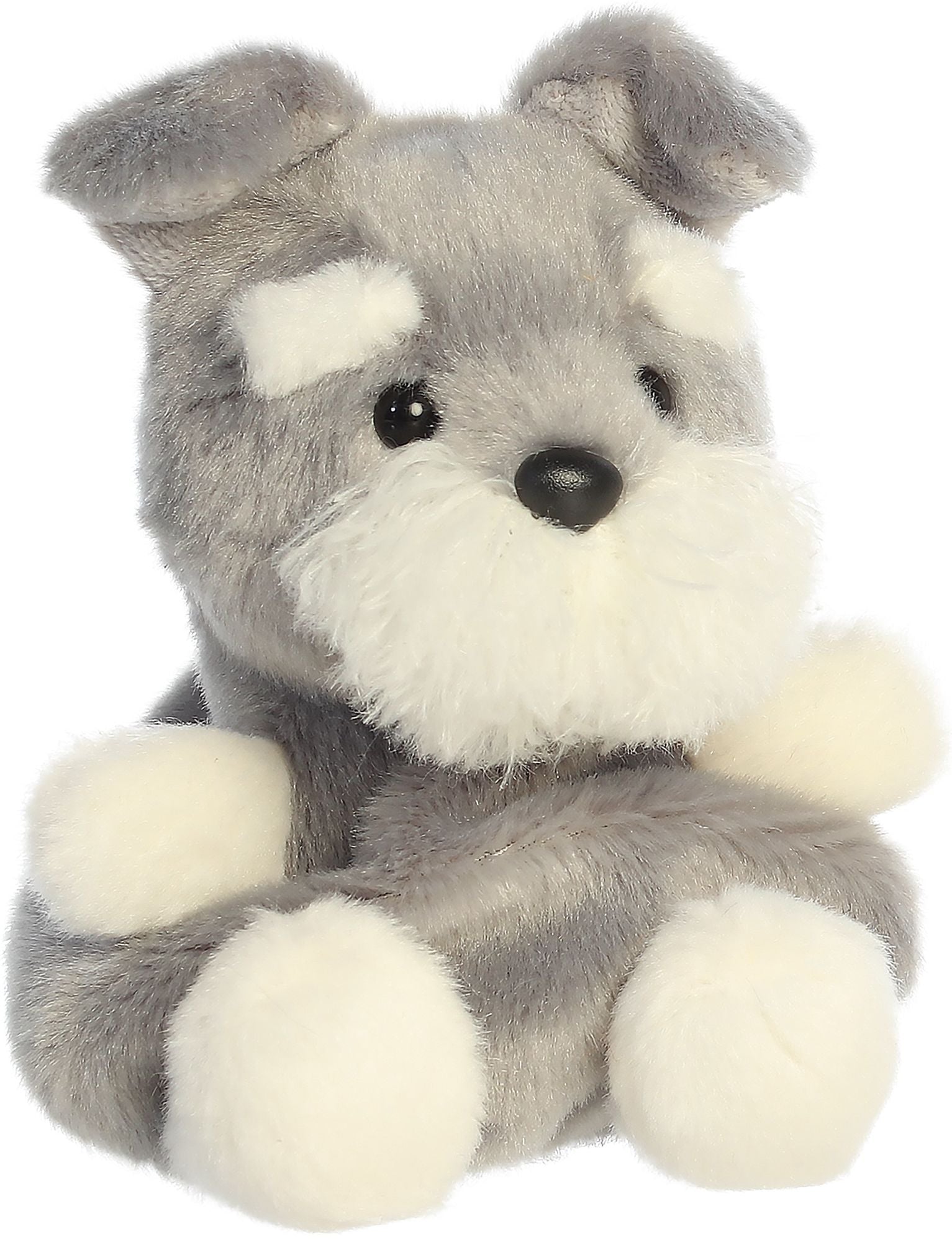Korra Schnauzer 5 Palm Pals