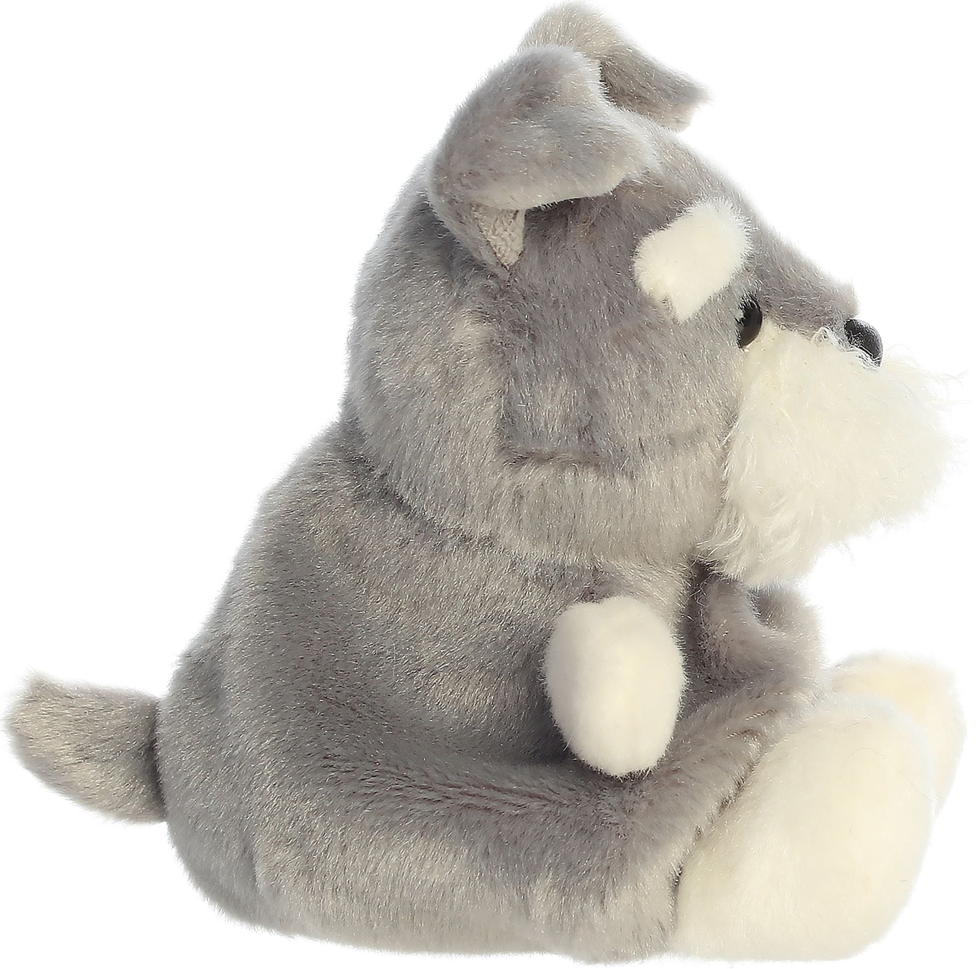 Korra Schnauzer 5 Palm Pals - Image 3