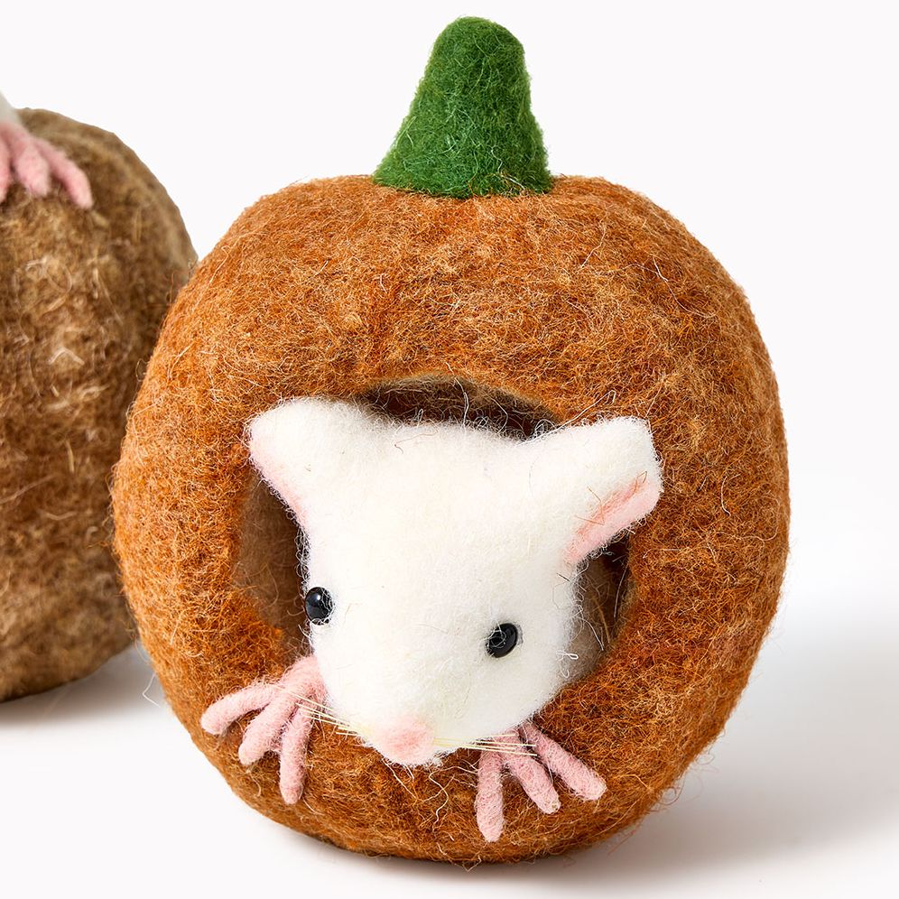 Wool Pumpkin with Mouse. 2 Assorted - Image 3