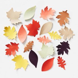 Small Fall Leaves