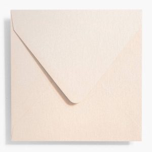 Blue Edge Thank You Card Set