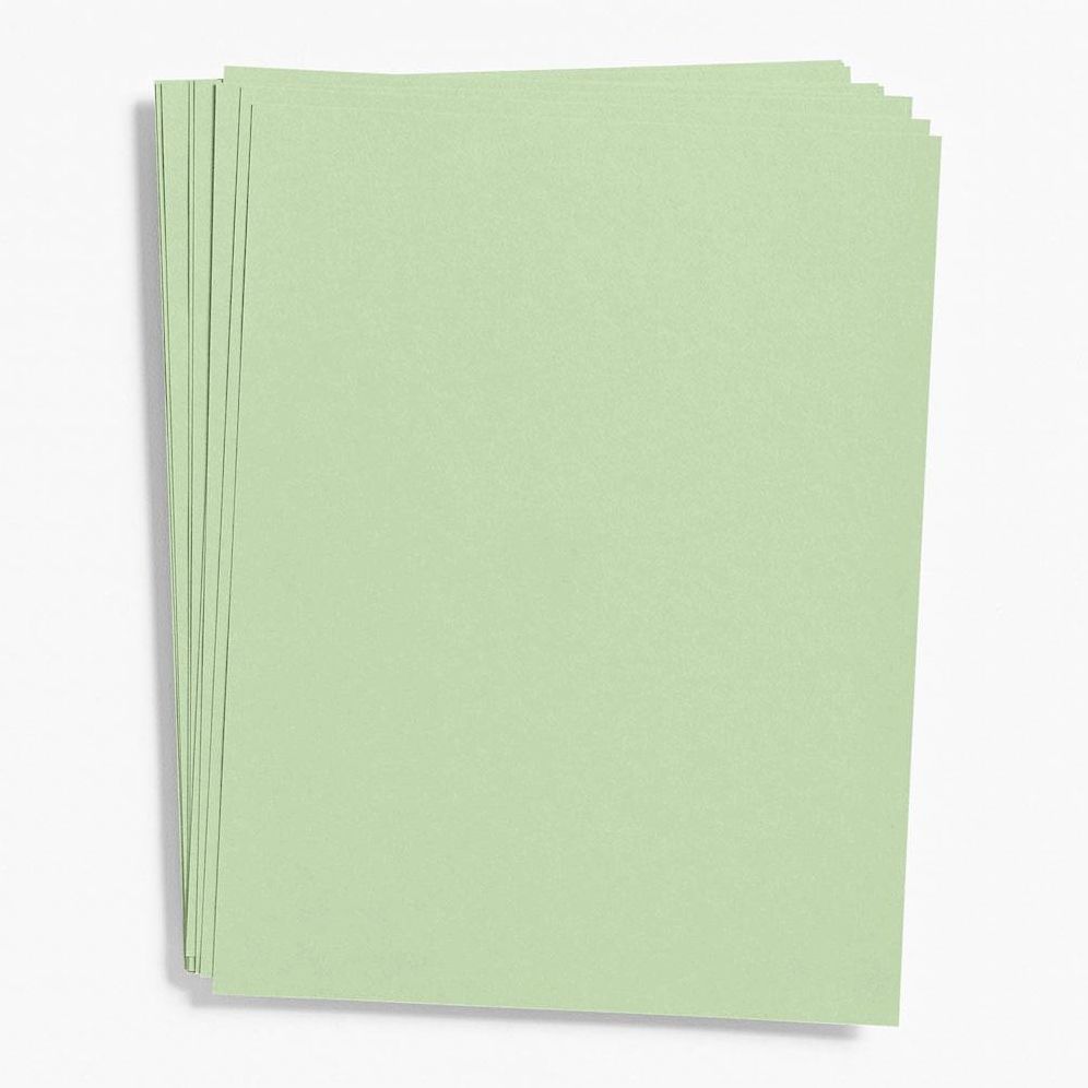 Eucalyptus Paper 8.5 x 11