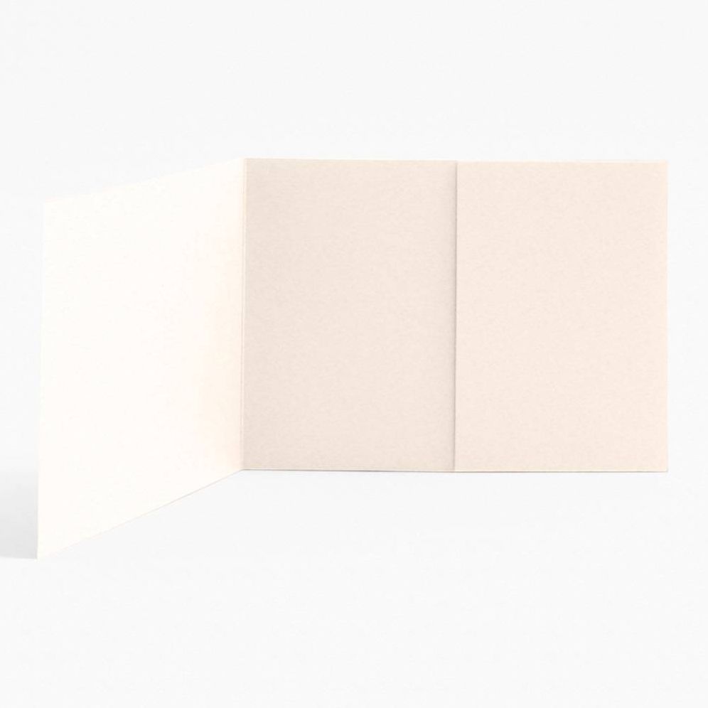 A7 Luxe Cream Linear Enclosures - Image 3