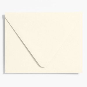 Luxe White Presentation Envelopes