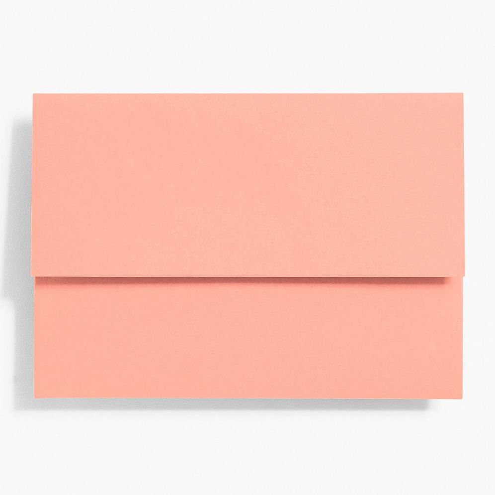 A7 Coral Folder Enclosures - Image 2
