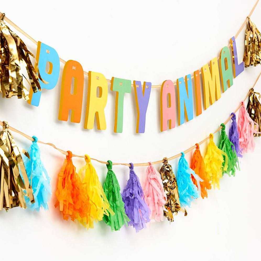 Balloon Party Animal Tassel Banner - Image 2