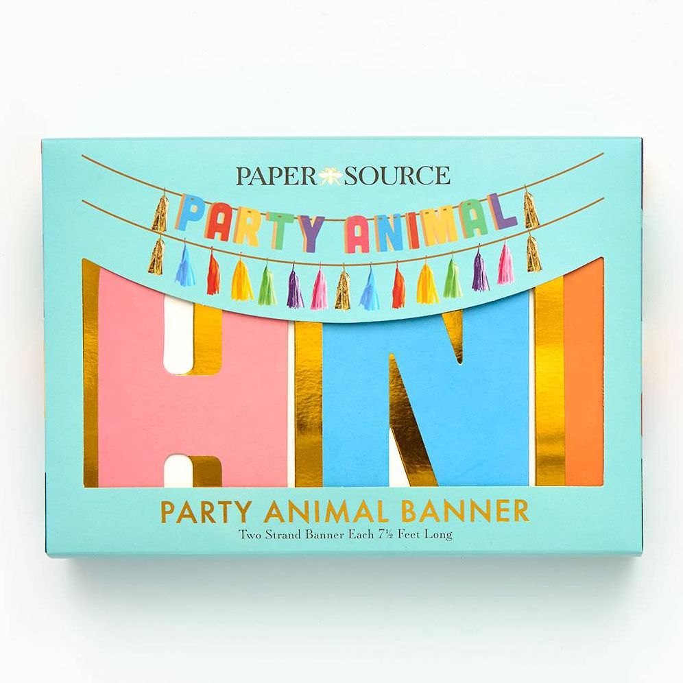 Balloon Party Animal Tassel Banner - Image 3