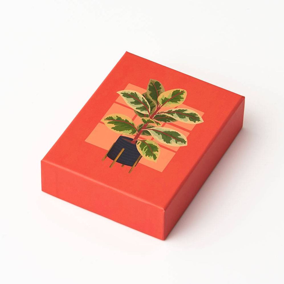 Houseplants Stationery Set - Image 2