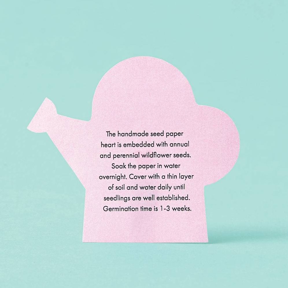 Potted Hearts Plant Kit - Image 2