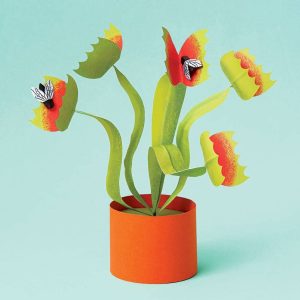 Venus Flytrap Kit
