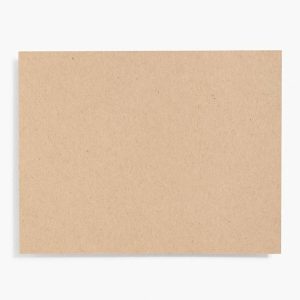 Paper Bag A2 Note Cards