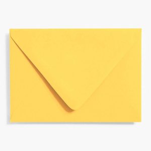 Curry 4 Bar Envelopes