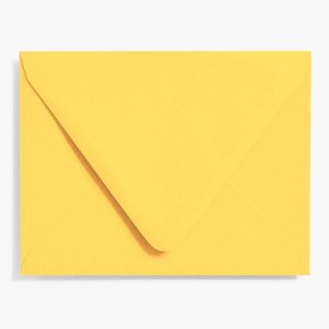 Curry A2 Envelopes