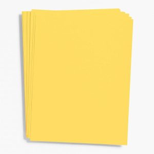 Curry Paper 8.5 x 11