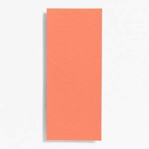 #10 Papaya Note Cards