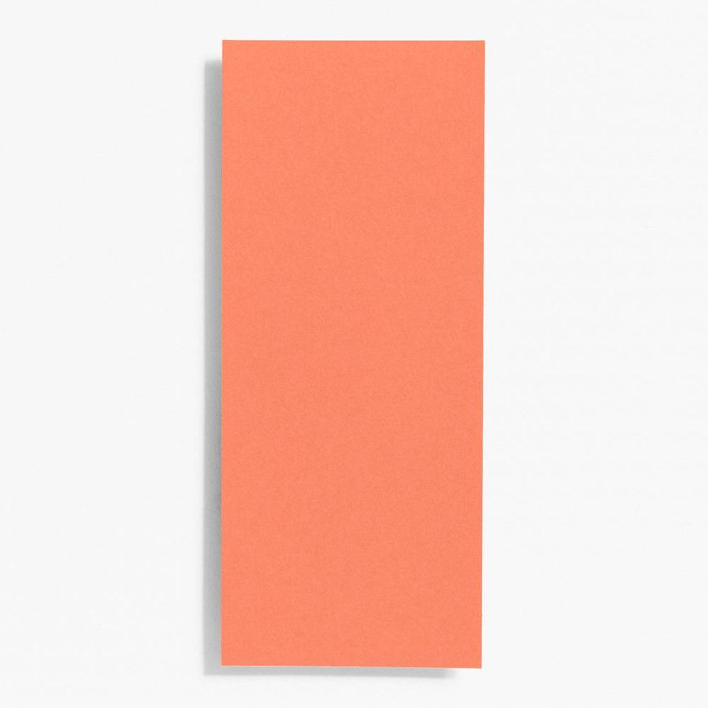 #10 Papaya Note Cards