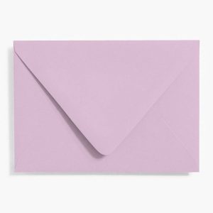 Plum 4 Bar Envelopes