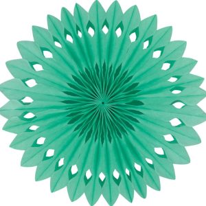 Detailed fan. 30cm. Mint