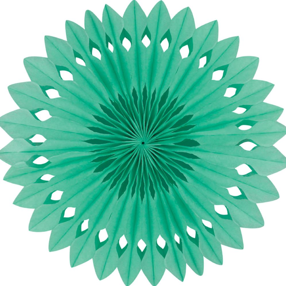Detailed fan. 30cm. Mint