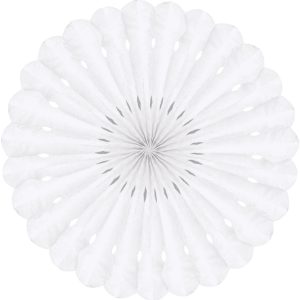 Detailed fan. 30cm. White