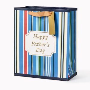 Father's Day Stripes Medium Gift Bag