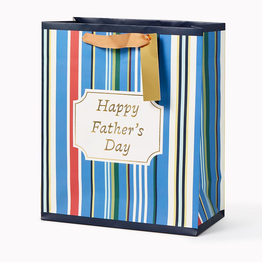 Father's Day Stripes Medium Gift Bag
