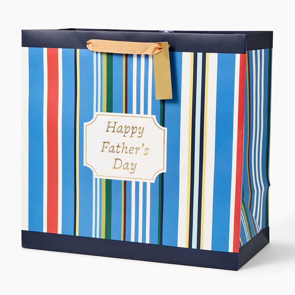 Father's Day Stripes Large Gift Bag