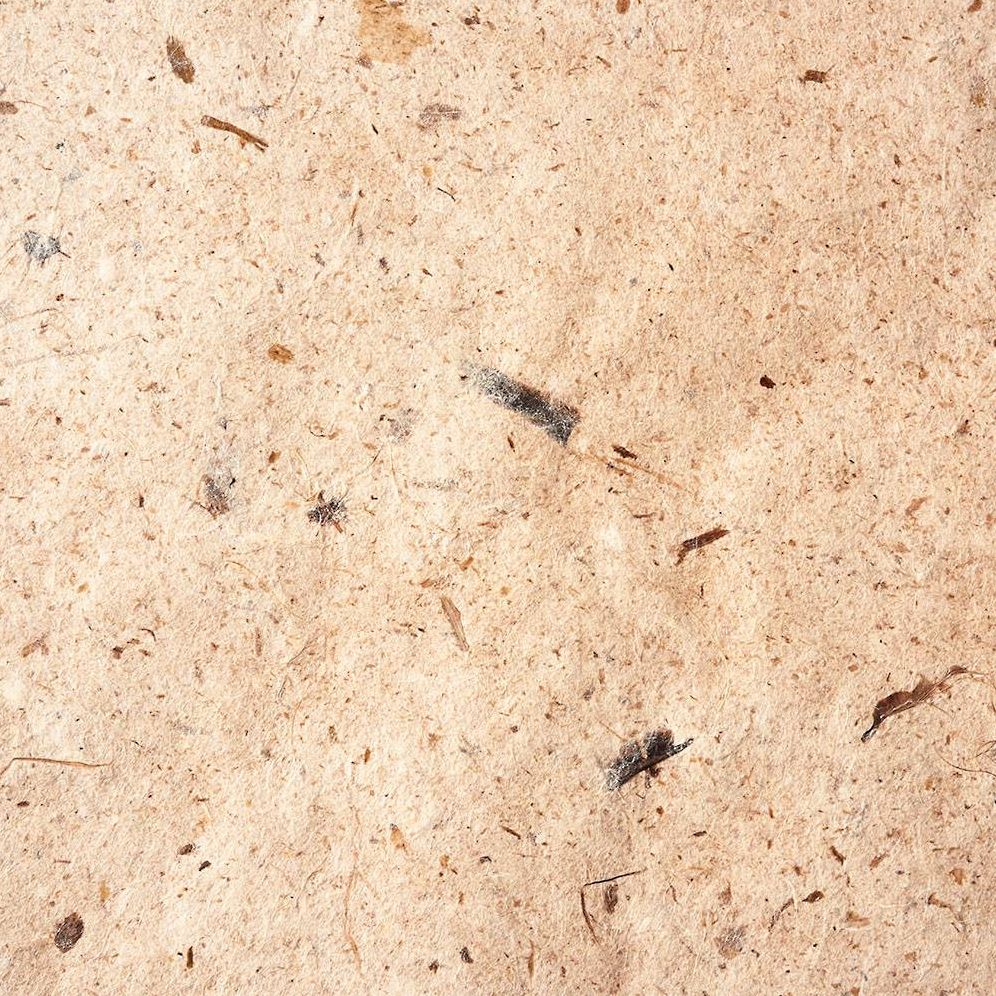 Natural Bark Handmade Paper - Image 2
