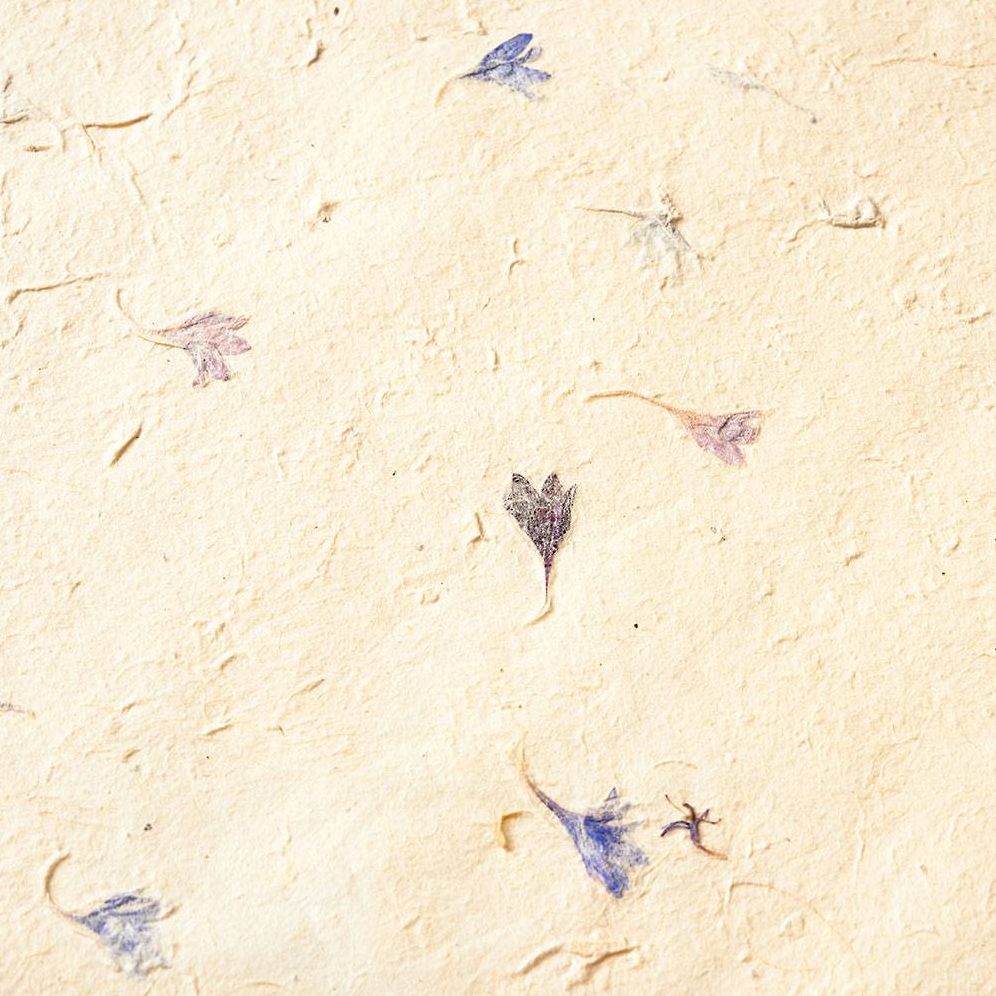 Pressed Blue Petal Handmade Paper - Image 3