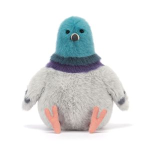 Strutton Pigeon