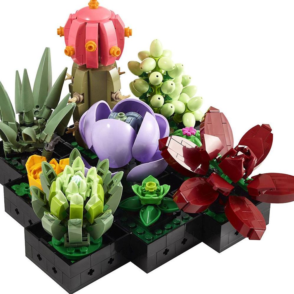 LEGO Icons Succulents 10309 - Image 13