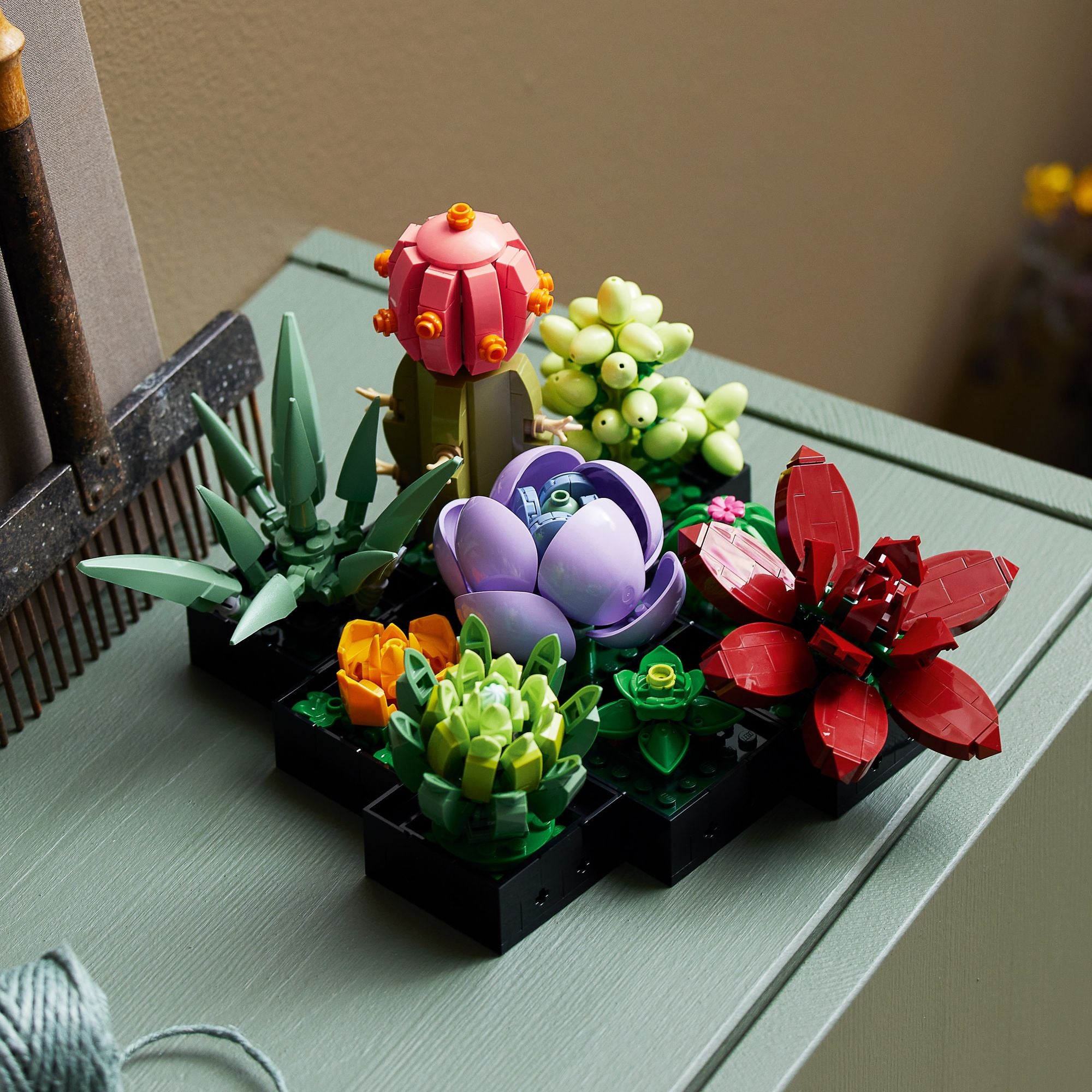 LEGO Icons Succulents 10309 - Image 3