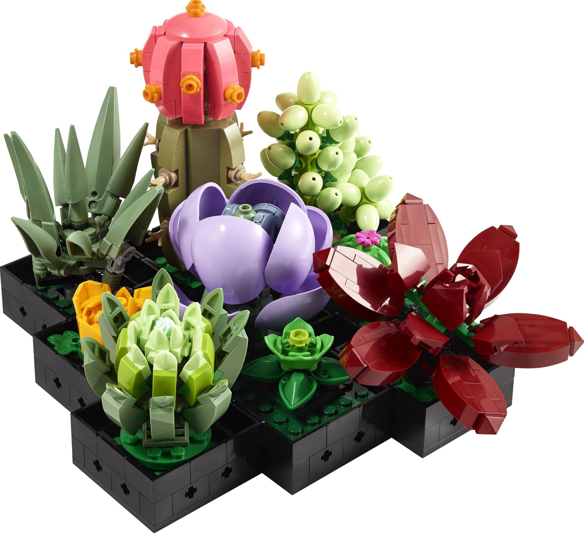 LEGO Icons Succulents 10309 - Image 4