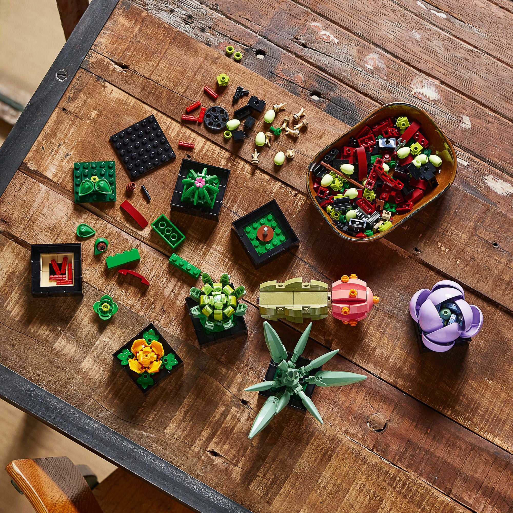 LEGO Icons Succulents 10309 - Image 5