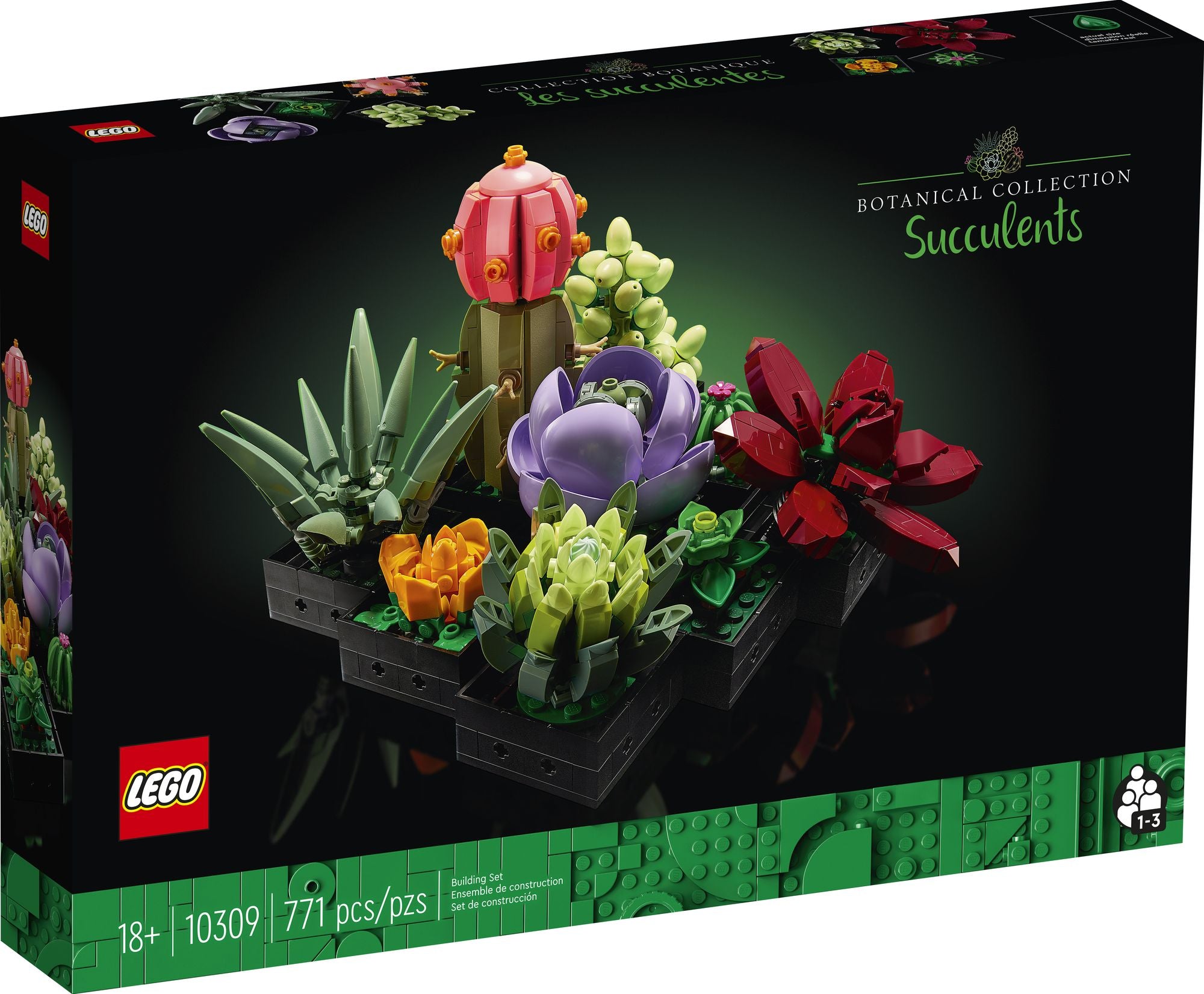 LEGO Icons Succulents 10309 - Image 6