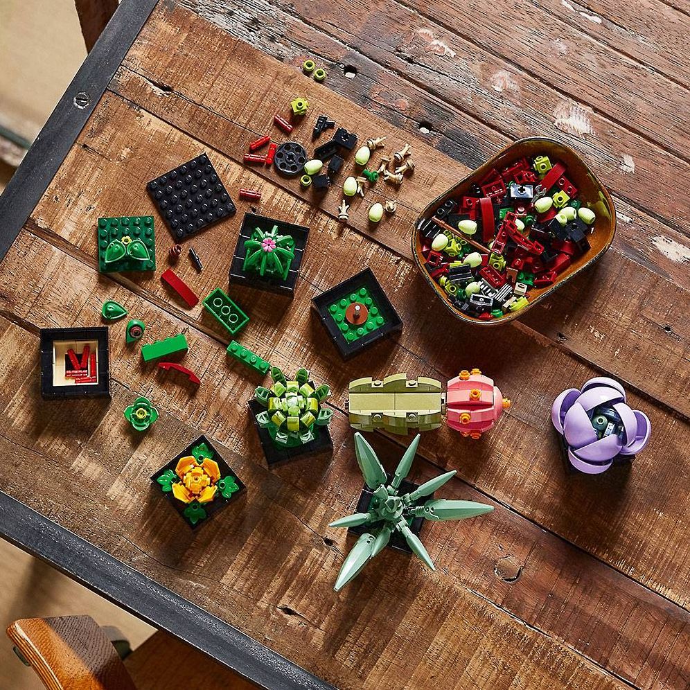 LEGO Icons Succulents 10309 - Image 9