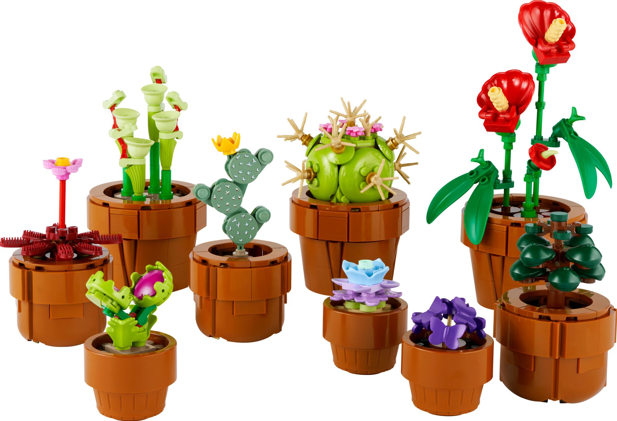 LEGO Icons Tiny Plants 10329 - Image 2