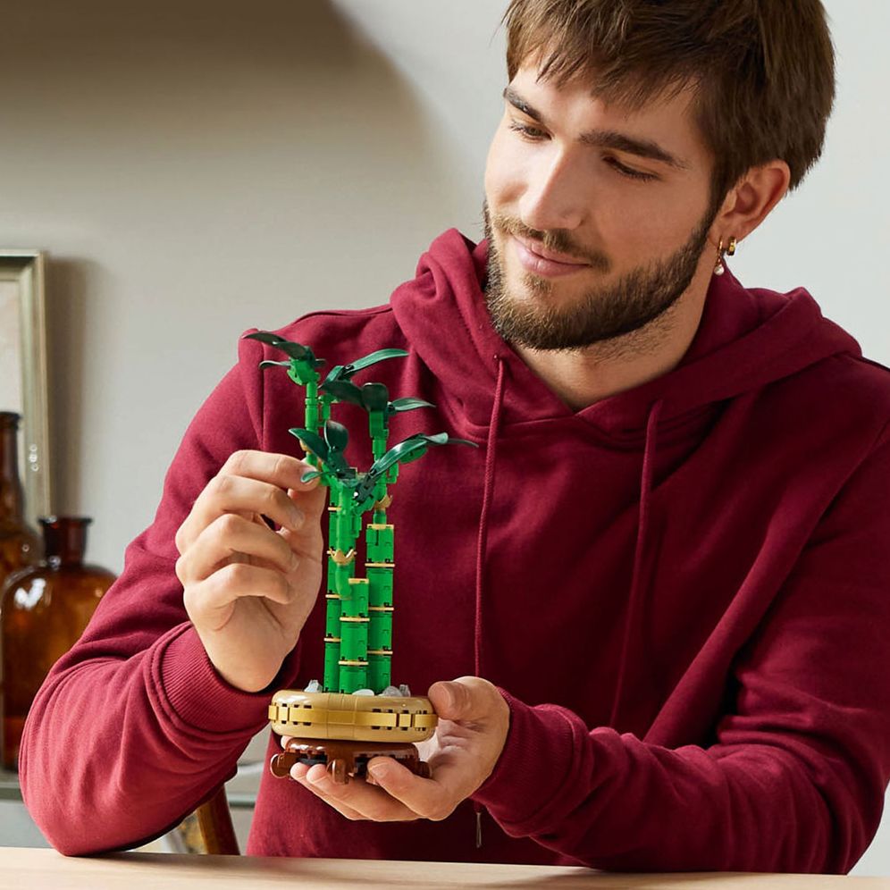 LEGO Botanicals Lucky Bamboo 10344 - Image 10