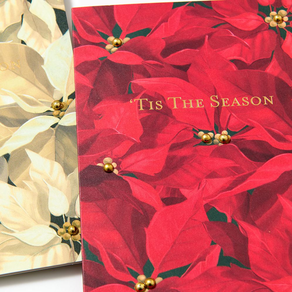 Christmas Poinsettia Stationery Set - Image 3