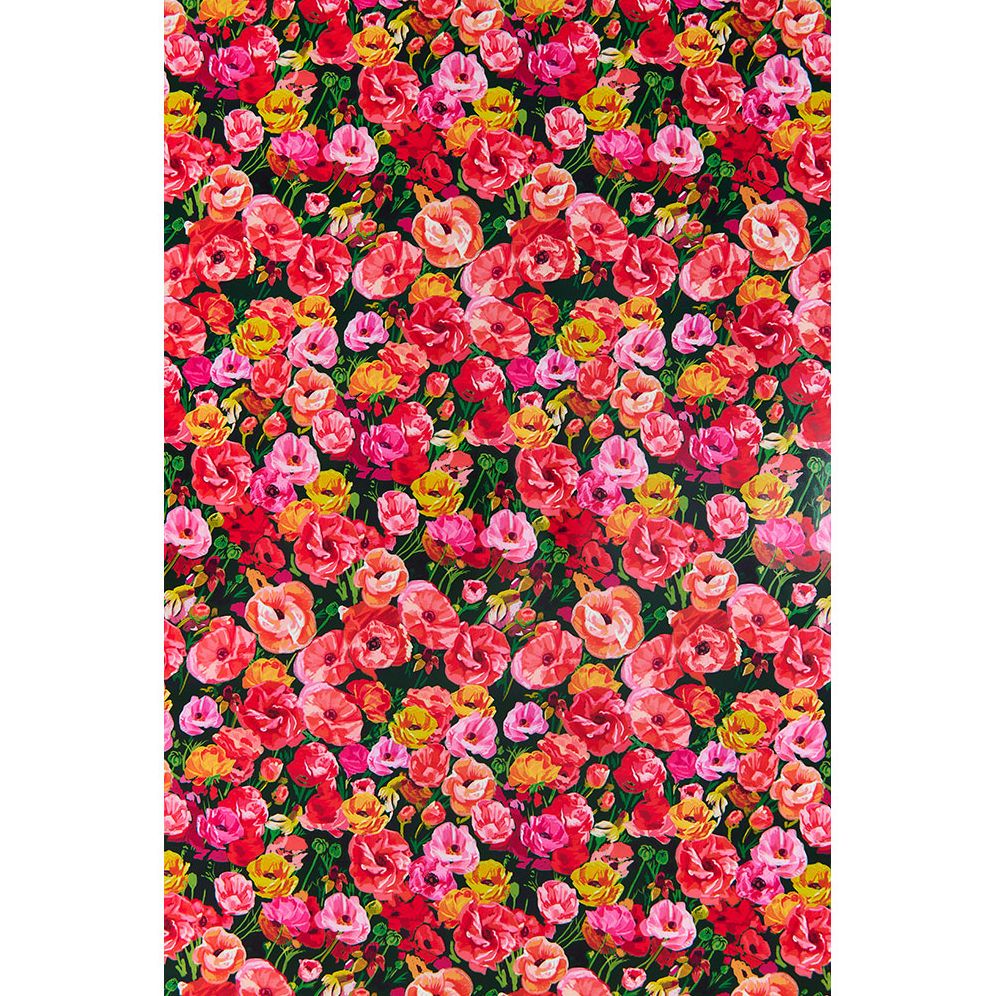 Poppies Continuous Roll Wrap - Image 2