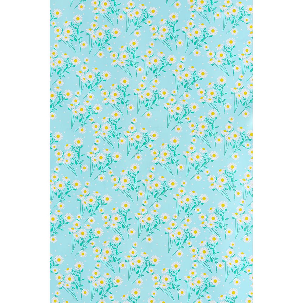 Daisies Continuous Roll Wrap - Image 2