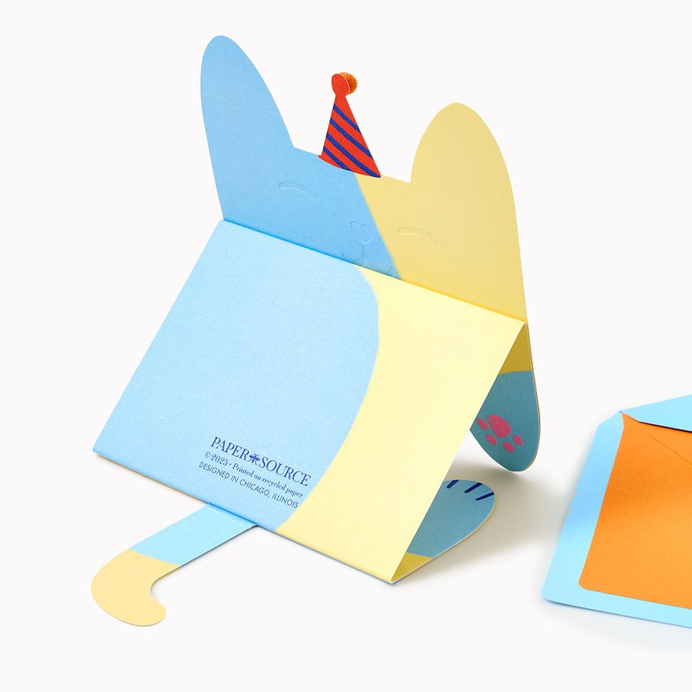 Folding Cat With Party Hat Embellished Birthday Card - Image 4
