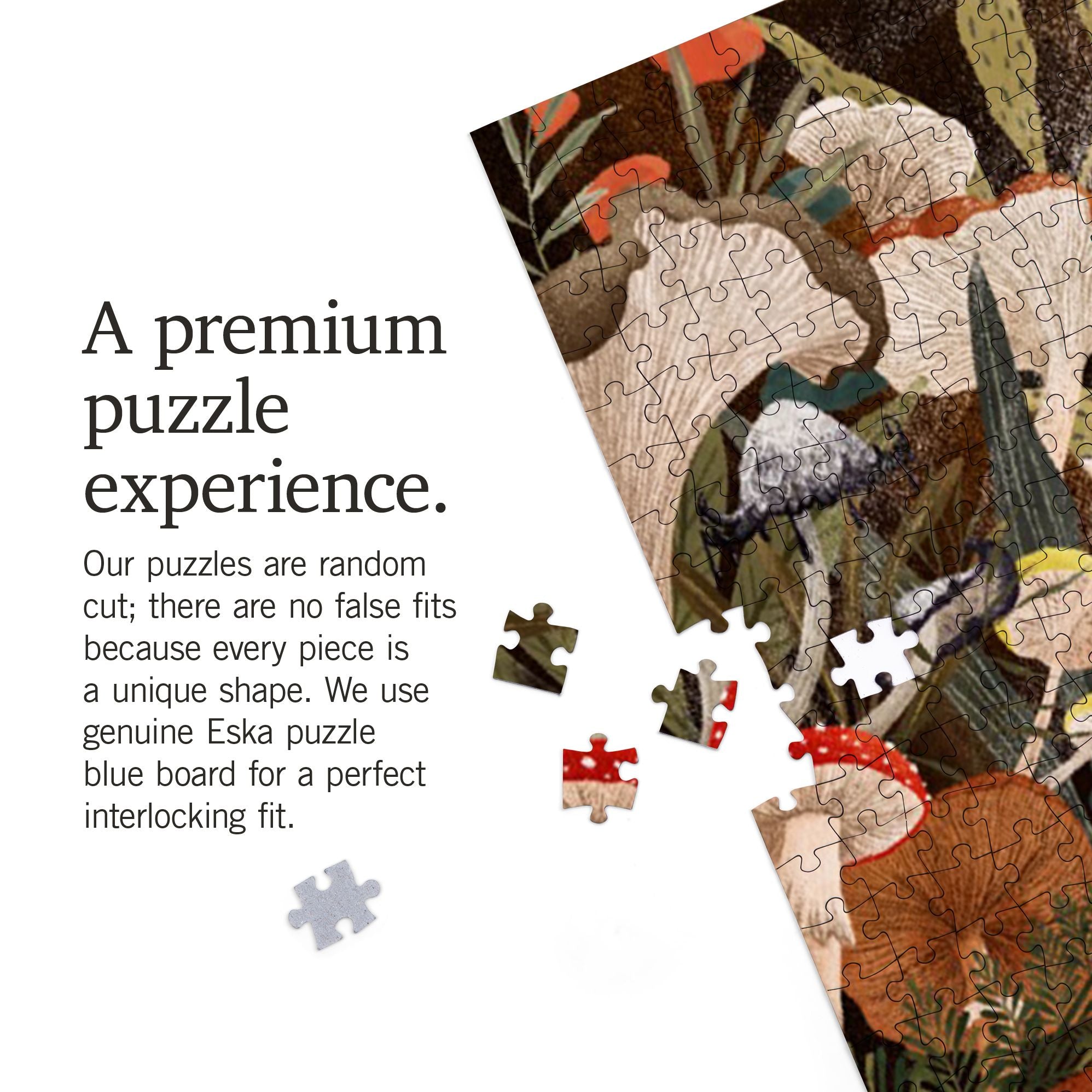 Woodland Mushrooms 1000 Piece Puzzle - Image 4