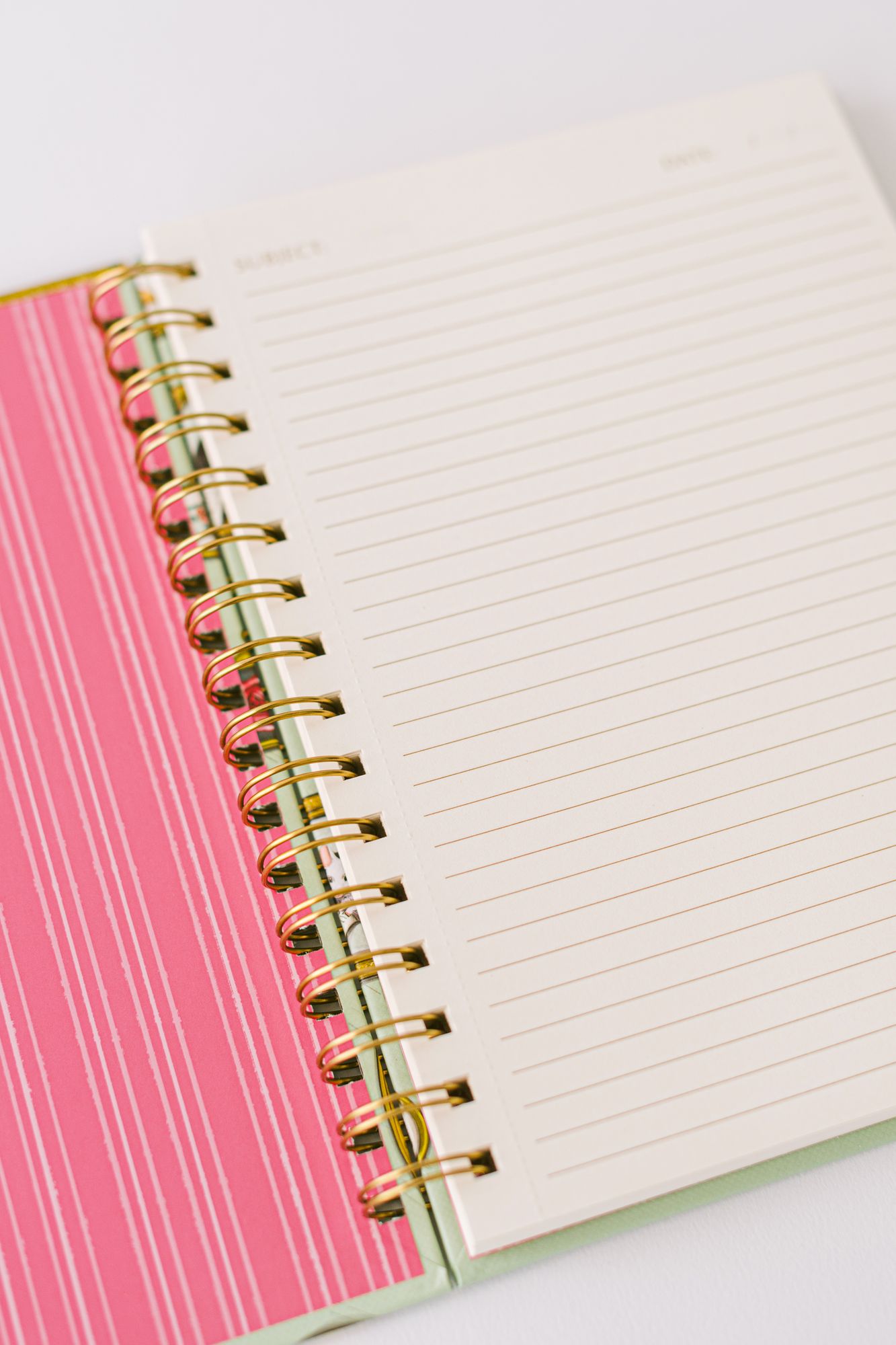 Mouse Cameo Spiral Notebook - Image 9