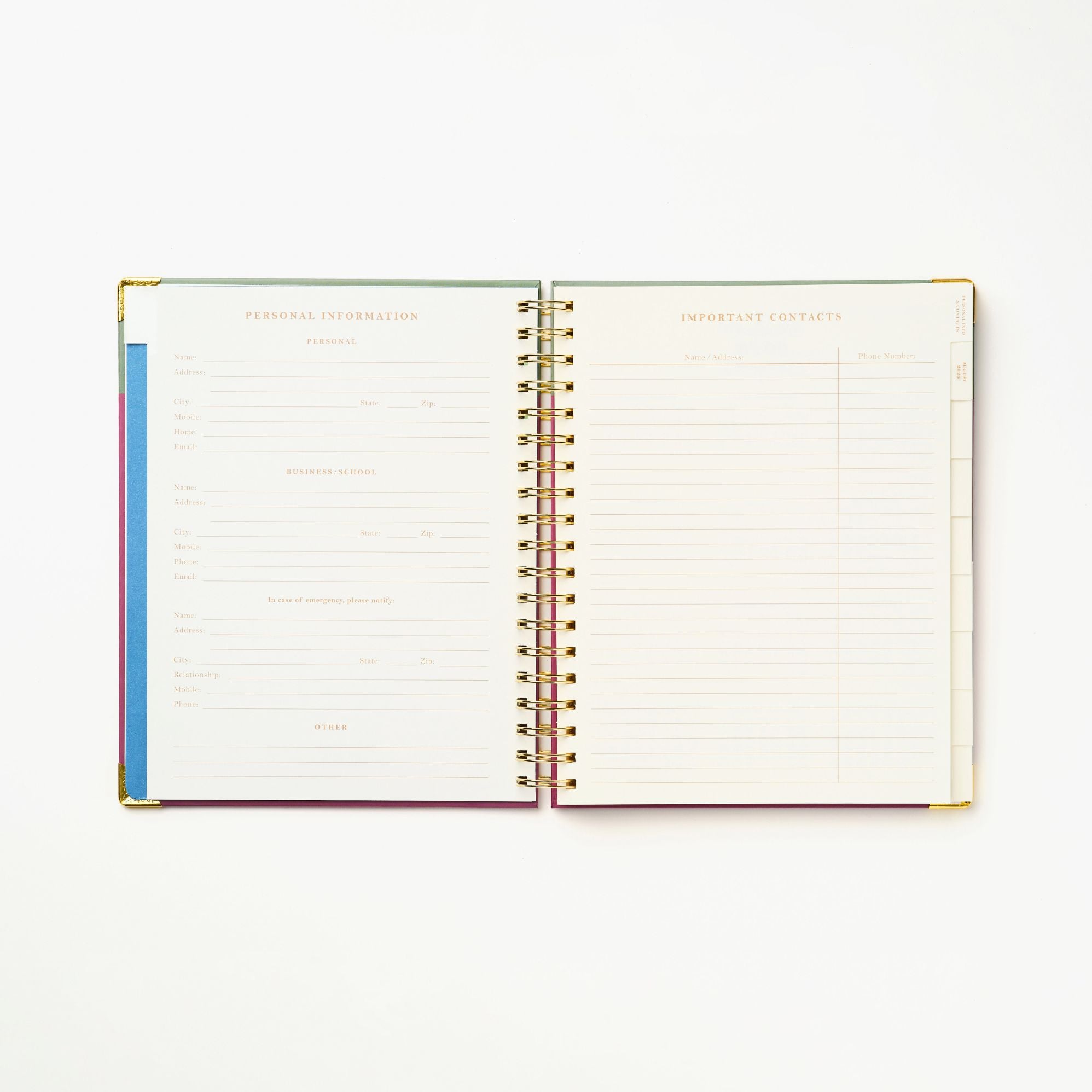2026-2027 Sneaky Cat Bookshelf 17-Month Large Spiral Planner - Image 5