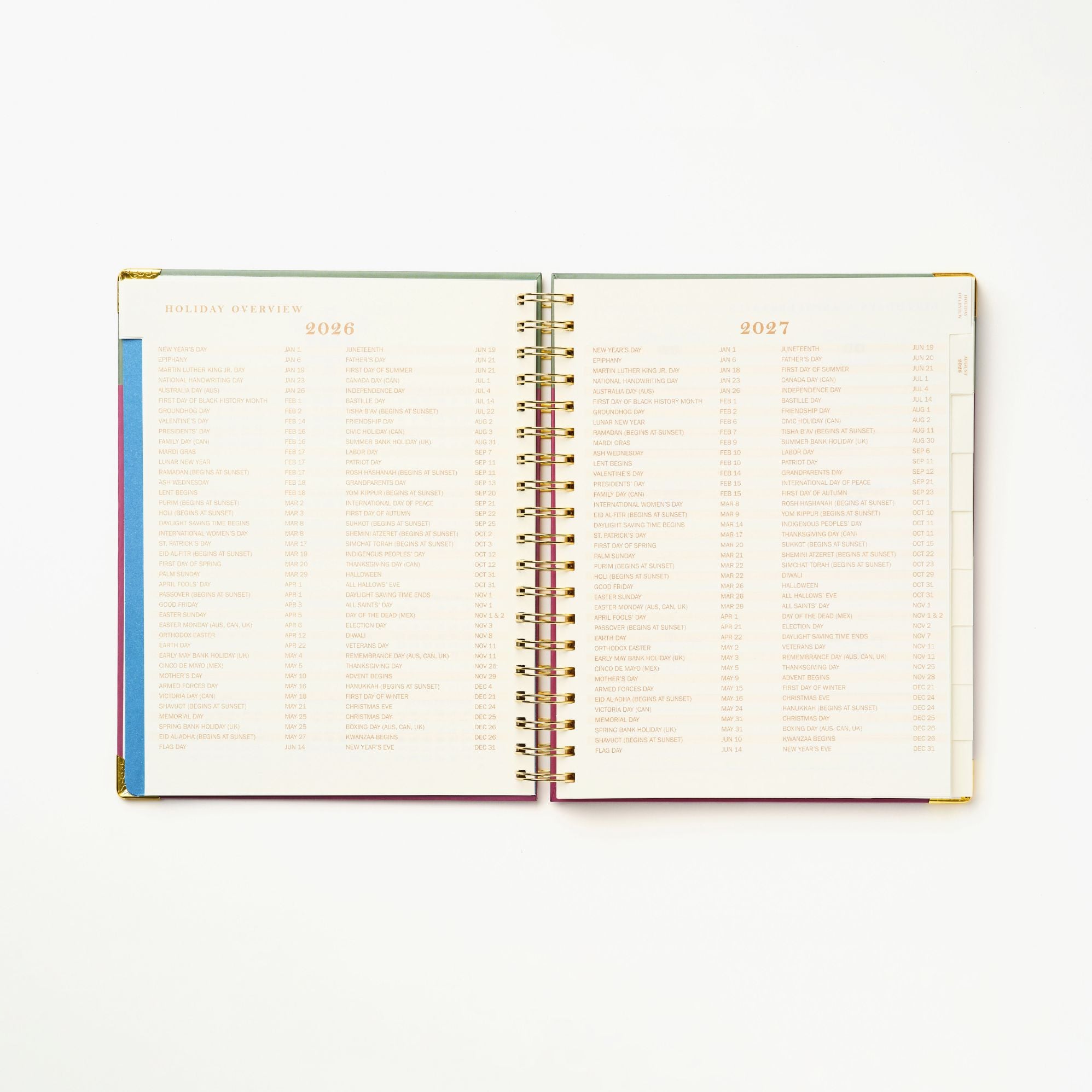 2026-2027 Sneaky Cat Bookshelf 17-Month Large Spiral Planner - Image 7