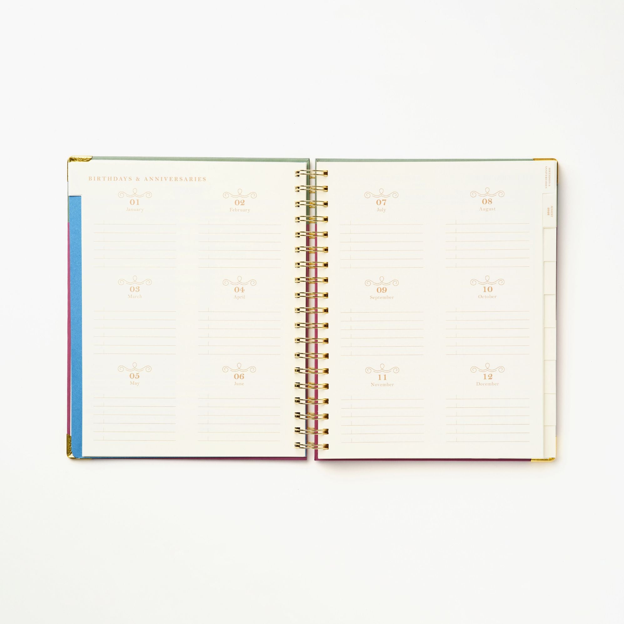 2026-2027 Sneaky Cat Bookshelf 17-Month Large Spiral Planner - Image 8